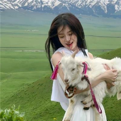 康纳斯的战争